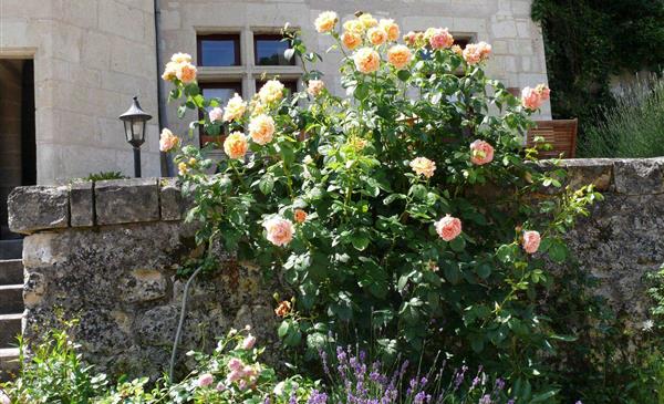 Bed and Breakfast Saumur